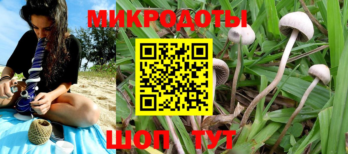 Ставрополь  Псилоцибиновые грибы прущие грибы  Вход с VPN 